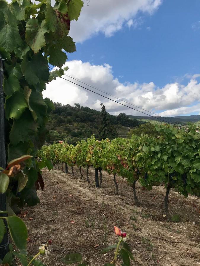 Private Douro- Quinta Das Susandas Mesao Frio Bagian luar foto
