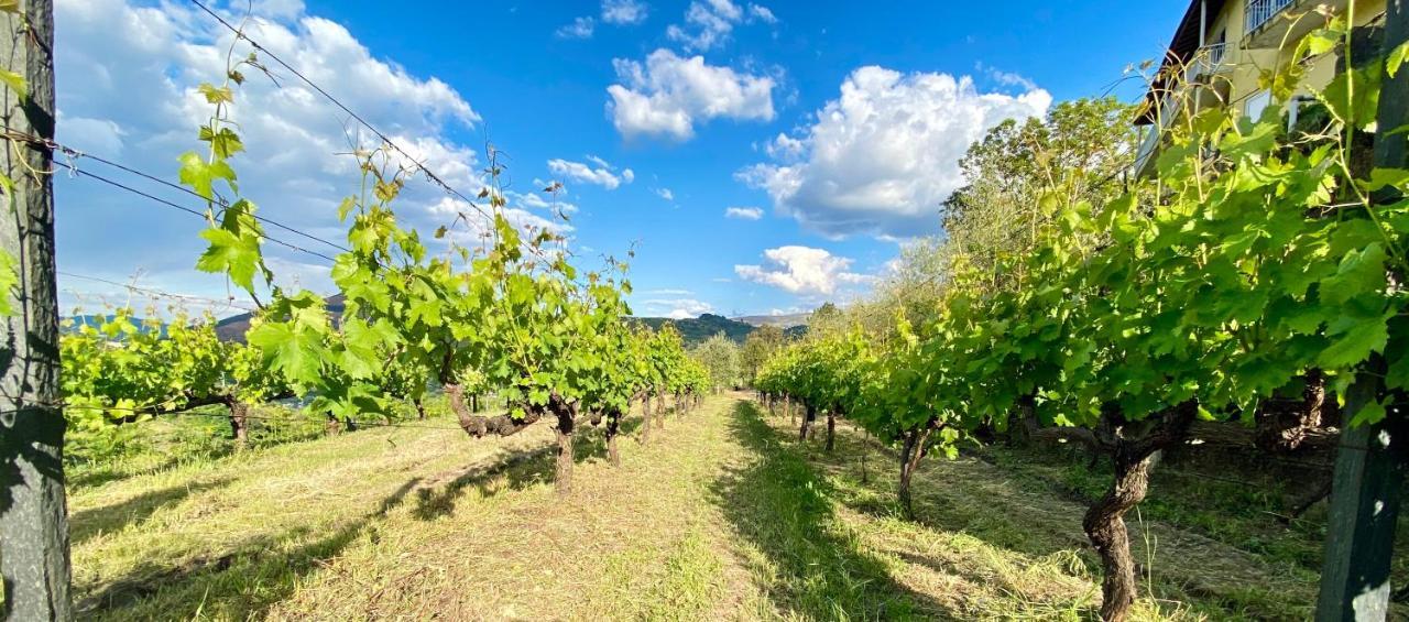 Private Douro- Quinta Das Susandas Mesao Frio Bagian luar foto