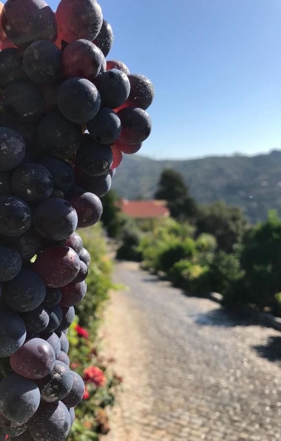 Private Douro- Quinta Das Susandas Mesao Frio Bagian luar foto
