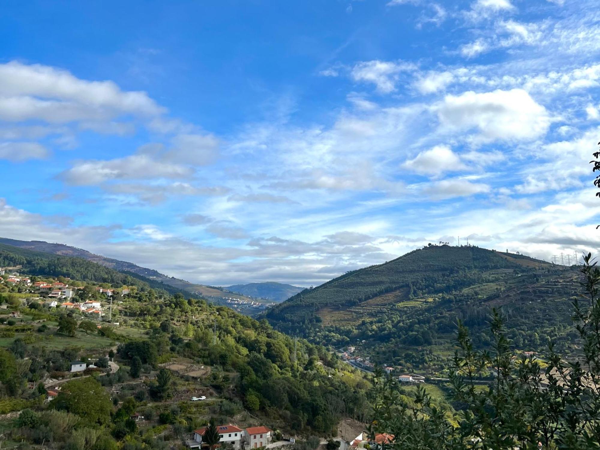 Private Douro- Quinta Das Susandas Mesao Frio Bagian luar foto