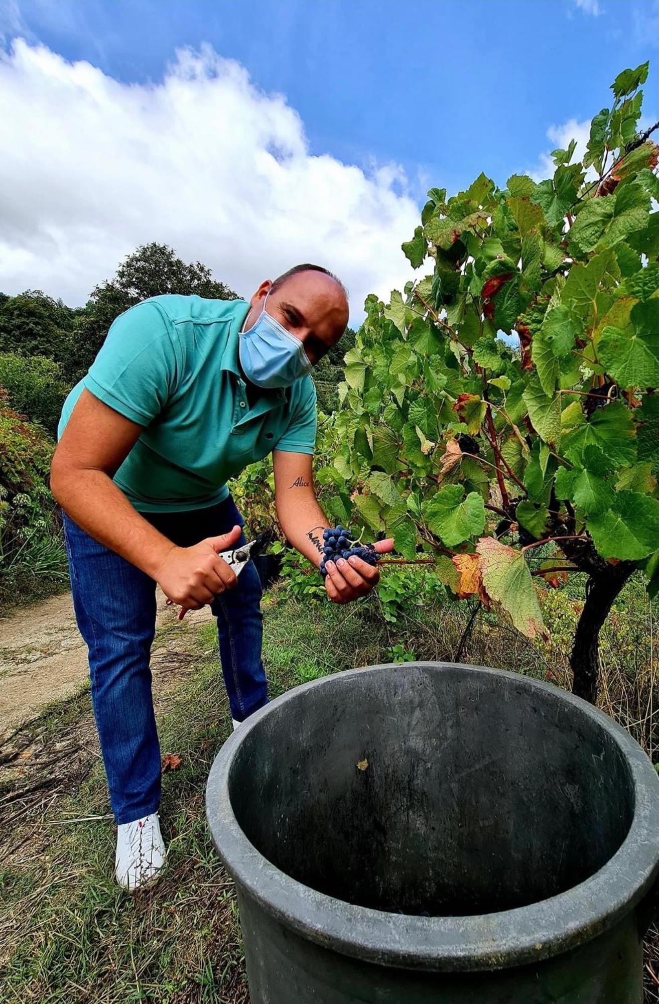 Private Douro- Quinta Das Susandas Mesao Frio Bagian luar foto